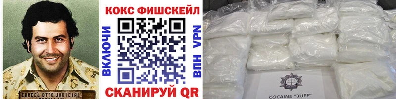 COCAIN Fish Scale  цена   Саки 