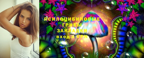 винт Аркадак