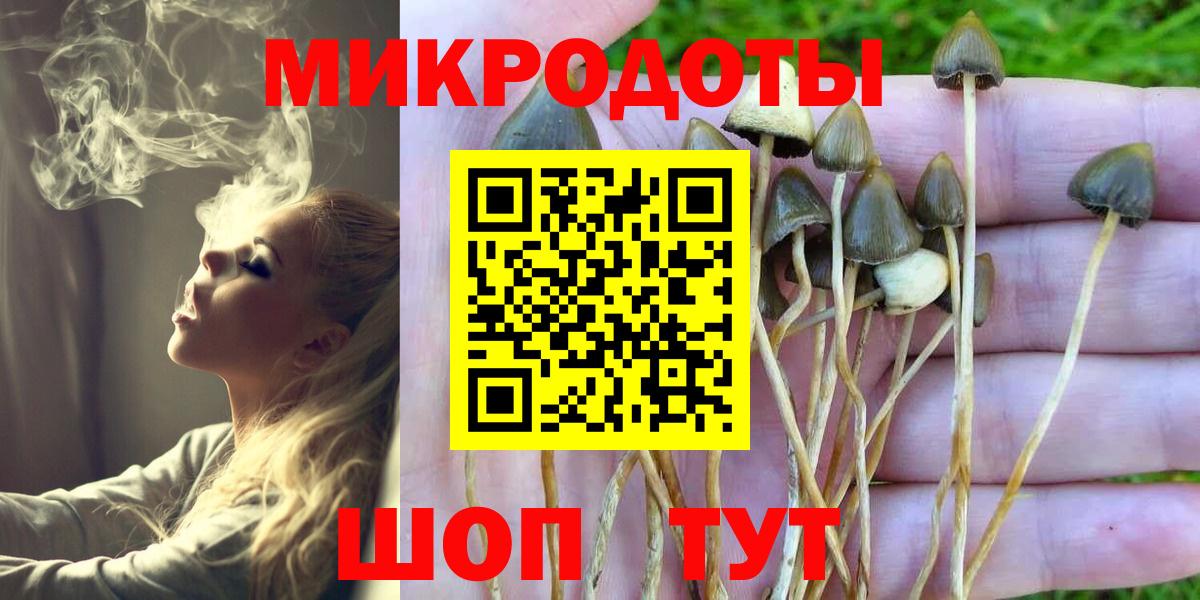 где купить   Псилоцибиновые грибы ЛСД  Вход с VPN  Псилоцибиновые грибы Psilocybe  Саки 
