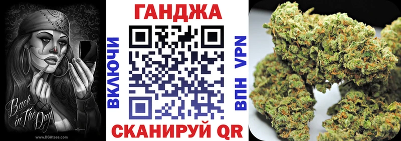 Конопля гибрид  Саки 
